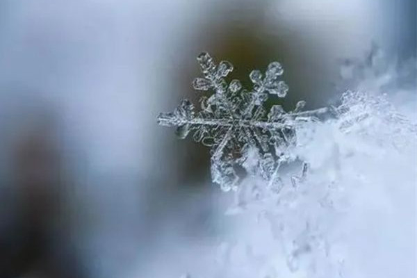今年首場寒潮最強(qiáng)雨雪下在哪? 雨雪天氣會(huì)影響手機(jī)信號(hào)嗎
