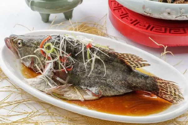 桂花魚(yú)多少錢一斤2023年市場(chǎng)價(jià) 桂花魚(yú)屬于海鮮嗎