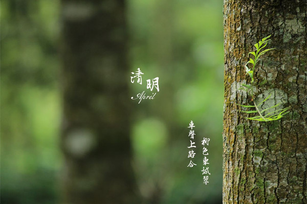 清明節(jié)放假2023年放幾天 清明節(jié)放假會調休嗎