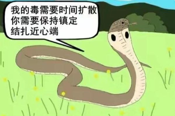 女子住酒店被毒蛇咬傷酒店拒擔全責 毒蛇一般在什么地方