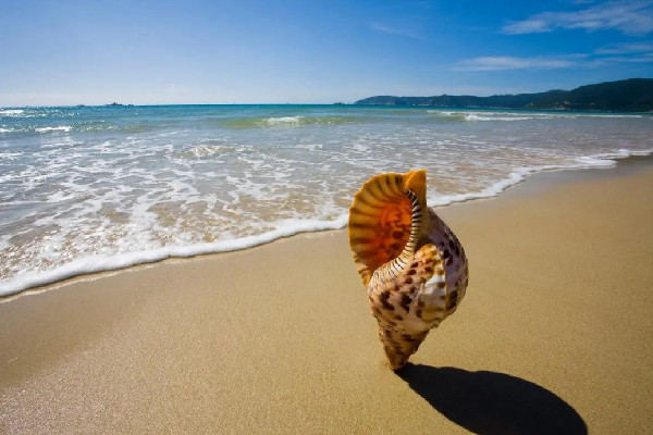 海南全島封關(guān)是什么意思 海南有什么特產(chǎn)值得買回家